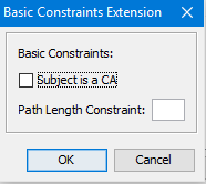 Basic Constraint